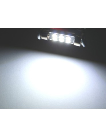 Canbus C5W 31mm Led 6000K 2-pack 12v