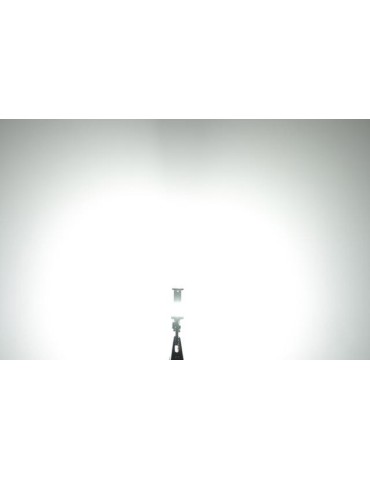 T15 W16W 921 912 906 backljus, LED m 18st 3020smd chip 6000K, 1 st. 