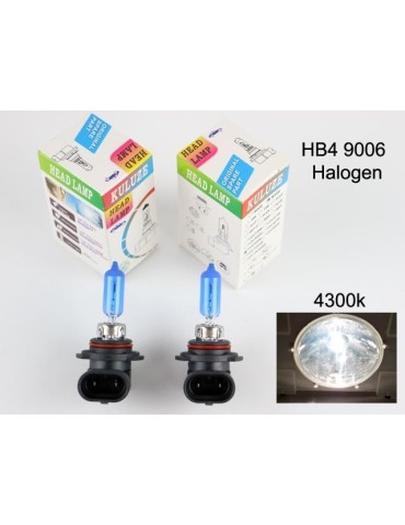 Hb4 9006 4300k white halogen 55w lampor