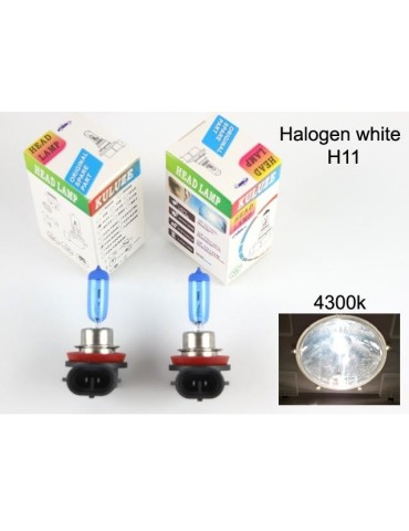 H11 4300k white halogen 55w lampor