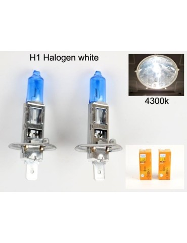 H1 4300k white halogen 55w lampor P14.5s