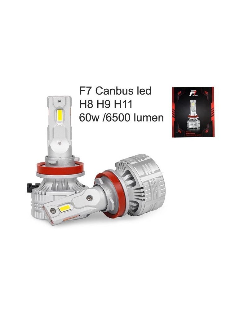 2 Stk. H11/H9/H8-LED Lampen 12/24 V, 4'000 lm – Hoelzle