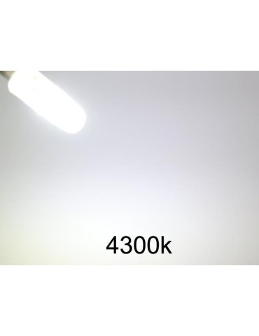 G4 2 W dimbar 12 V DC + AC LED-lampa 4300K vitgul G-4  8-pack