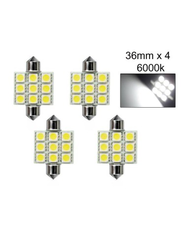 c5w 36mm led 5050SMD 6000K 2-pack  SV8.5