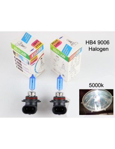 HB4 9006 5000k white halogen 55w lampor
